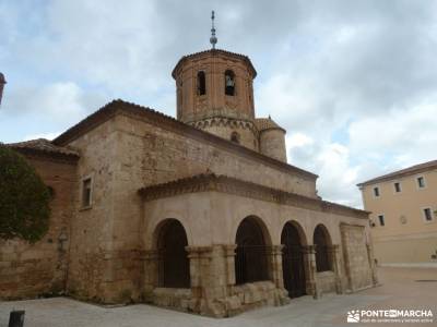 Yacimiento Numancia y Villa Almazán;parque natural de las dunas de liencres viajes solteros amboto